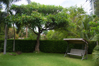 The Bihai Hua Hin fotoÄŸrafÄ±
