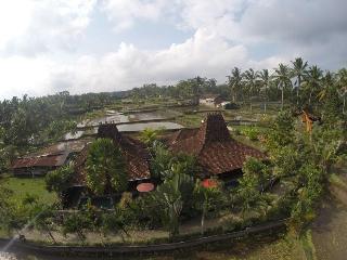 Ubud Syailendra fotoÄŸrafÄ±
