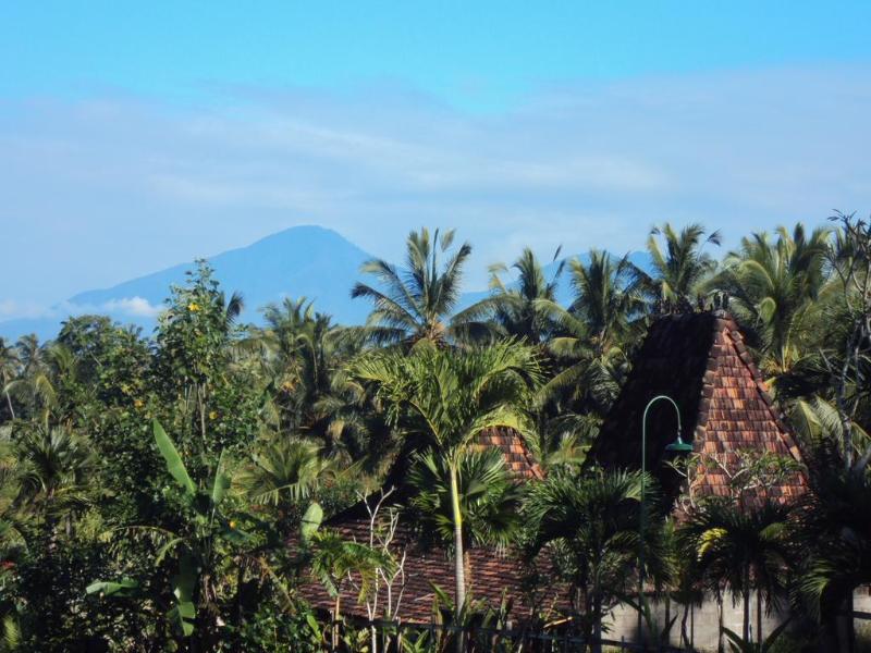 Ubud Syailendra - Genel