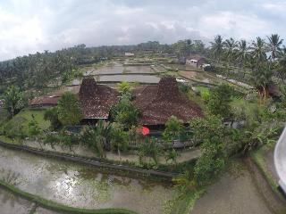 Ubud Syailendra fotoÄŸrafÄ±