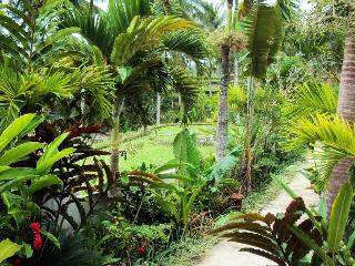 Ubud Syailendra fotoÄŸrafÄ±