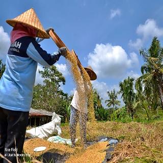 Ubud Syailendra fotoÄŸrafÄ±