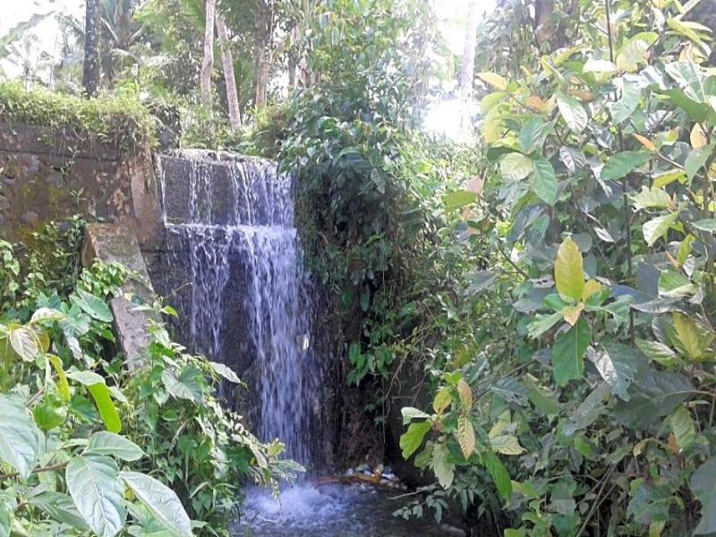 Ubud Syailendra - Genel