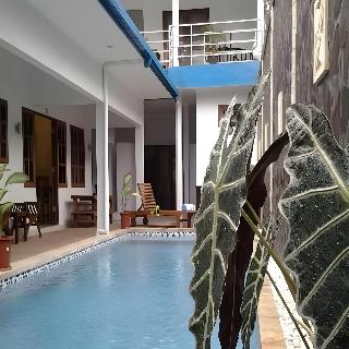 Lovina Oasis Hotel fotoÄŸrafÄ±