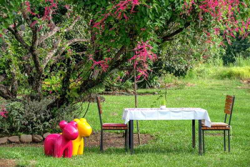 Aurora Resort Chiang Dao otel fotoğrafı