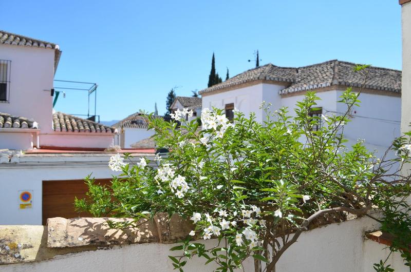 Santa Isabel La Real - Genel
