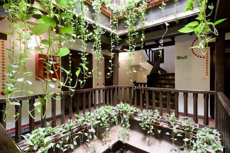 Oasis Backpackers Hostel Granada - Genel