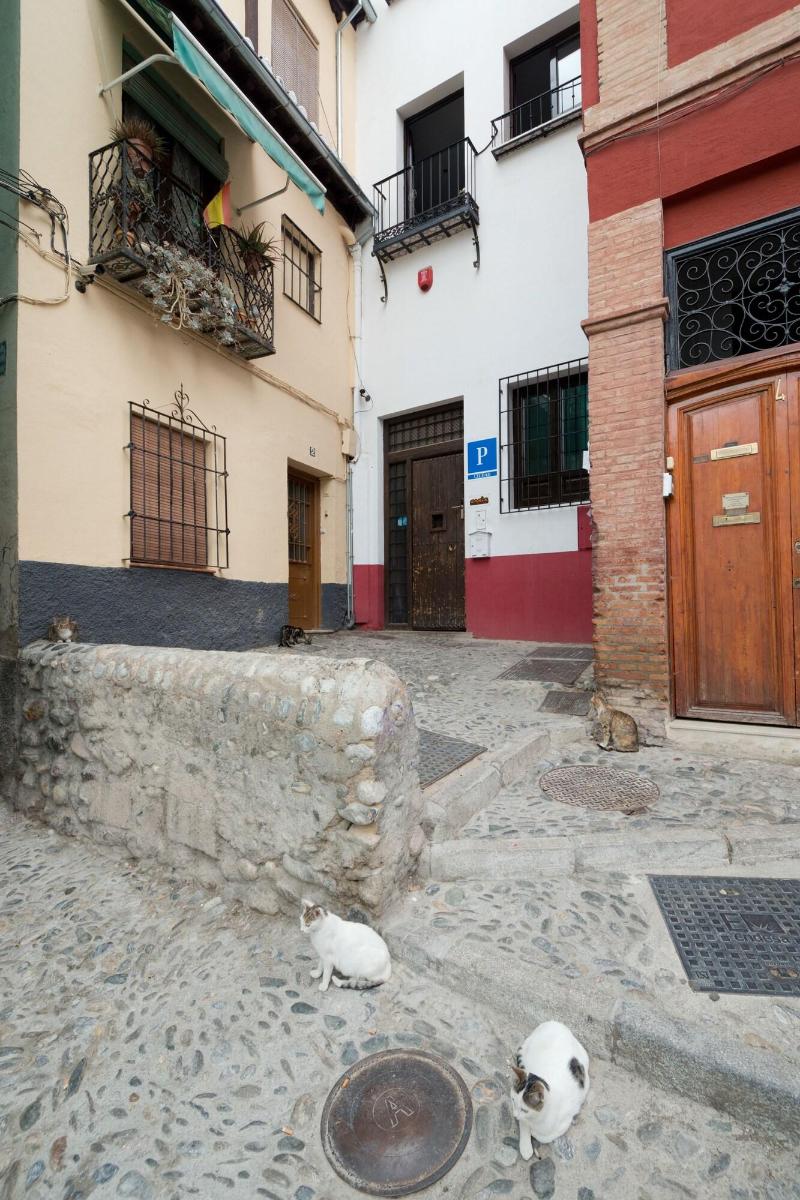 Oasis Backpackers Hostel Granada - Genel