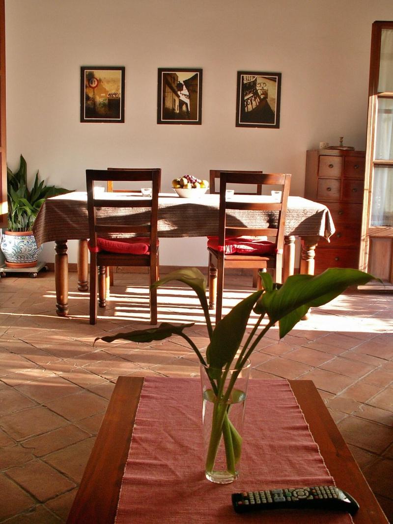 Oasis Backpackers Hostel Granada - Oda
