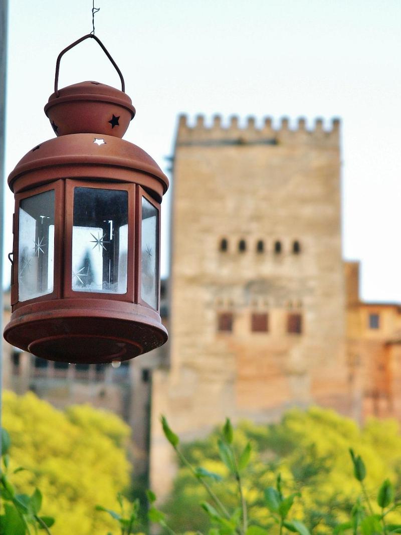 Oasis Backpackers Hostel Granada - Oda