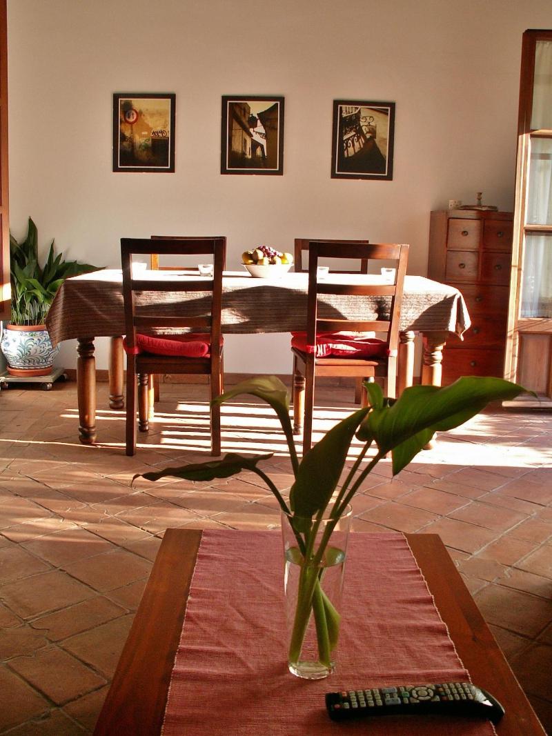 Oasis Backpackers Hostel Granada - Oda