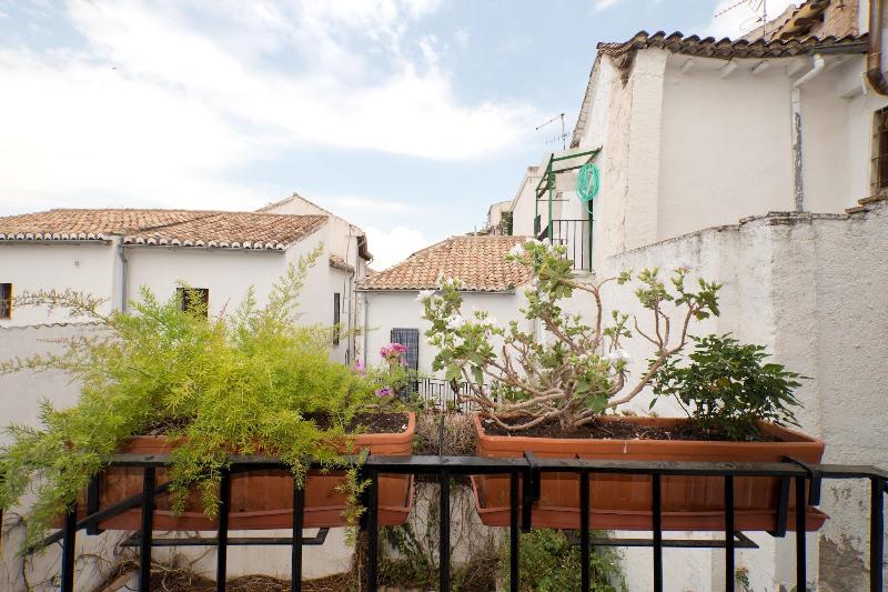 Oasis Backpackers Hostel Granada - Oda