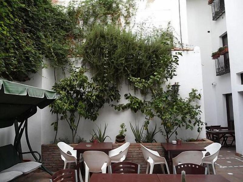 Oasis Backpackers Hostel Granada - Teras