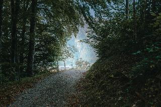 Blaue Gams fotoÄŸrafÄ±