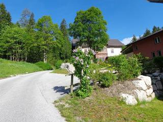 JUFA Hotel Altaussee fotoÄŸrafÄ±
