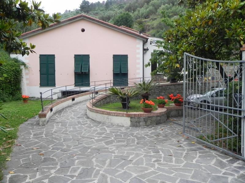 Il Saraceno - Genel