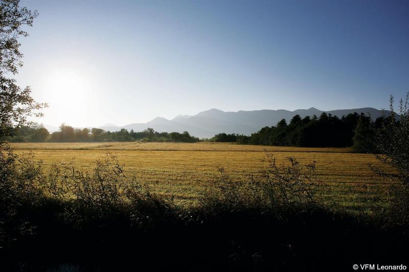 Alpenhof Murnau - Genel