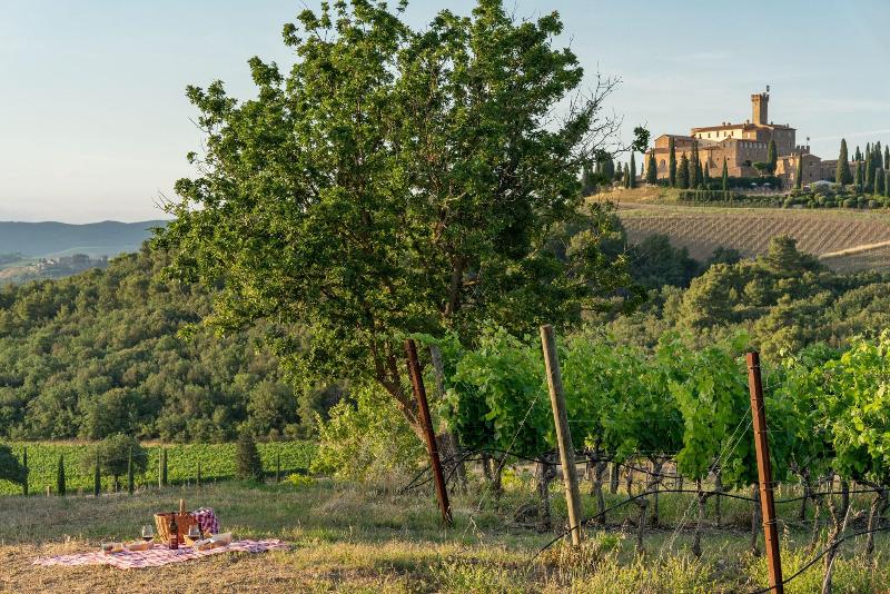 Castello Banfi - Aktivite