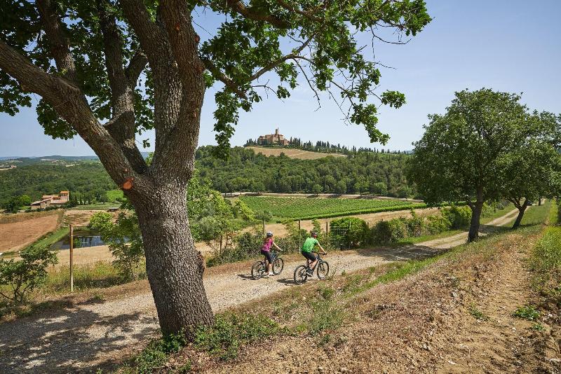 Castello Banfi - Aktivite