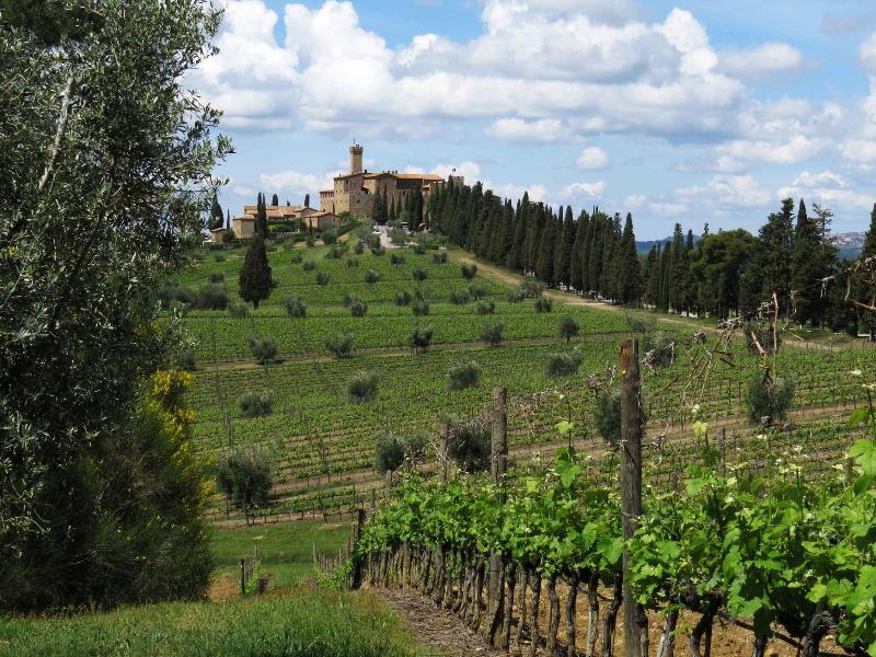 Castello Banfi - Genel