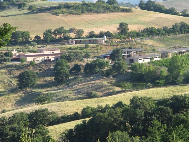 Le Murelle Country Resort - Genel
