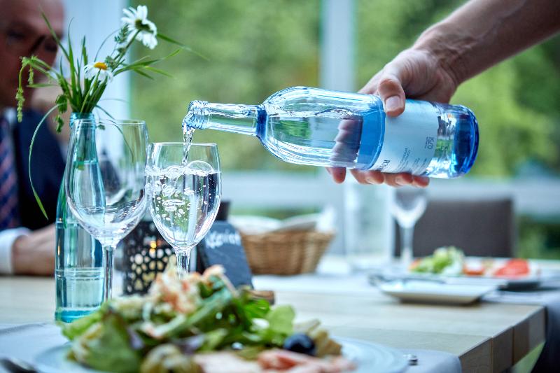 Hotel Am Badersee - Restoran