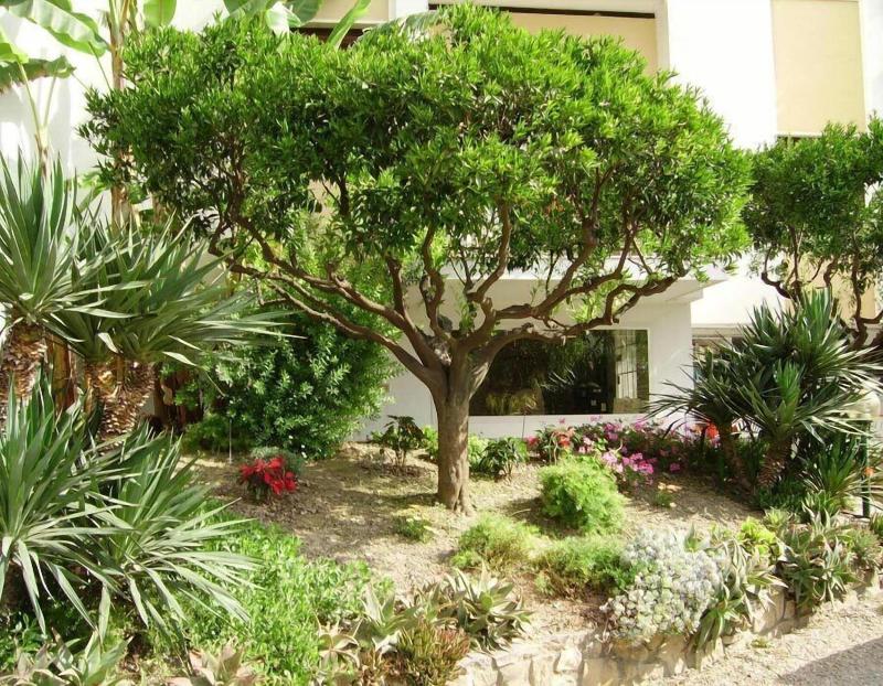 Residence La Carruba - Teras