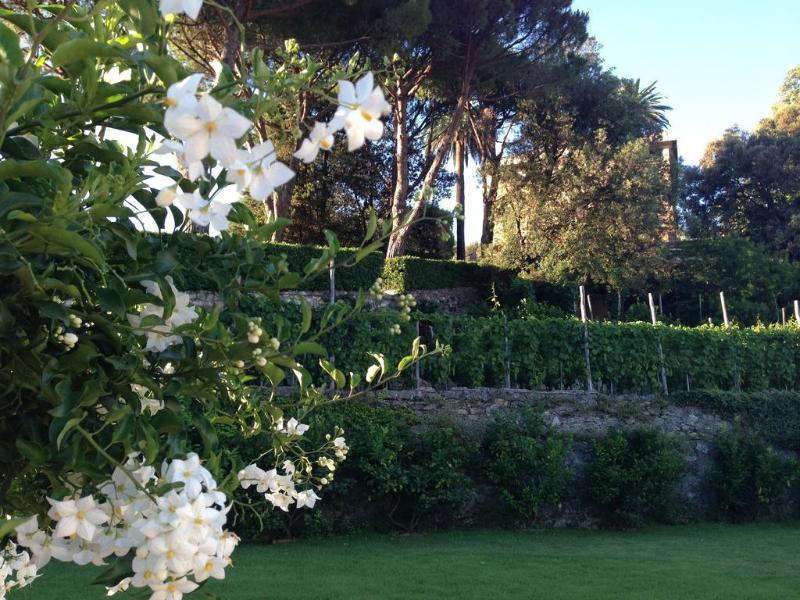 Villa Agnese - Genel