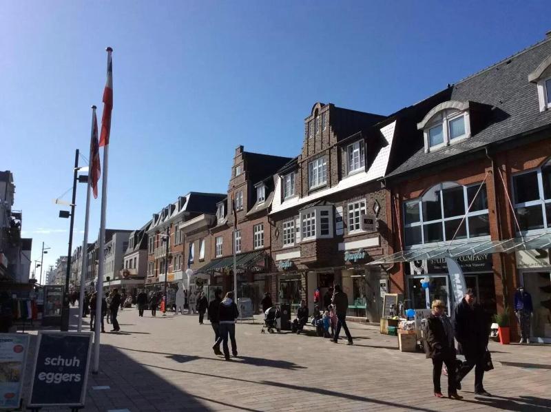 Marin Sylt - Genel