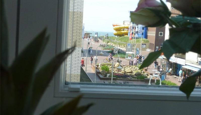 Marin Sylt - Genel