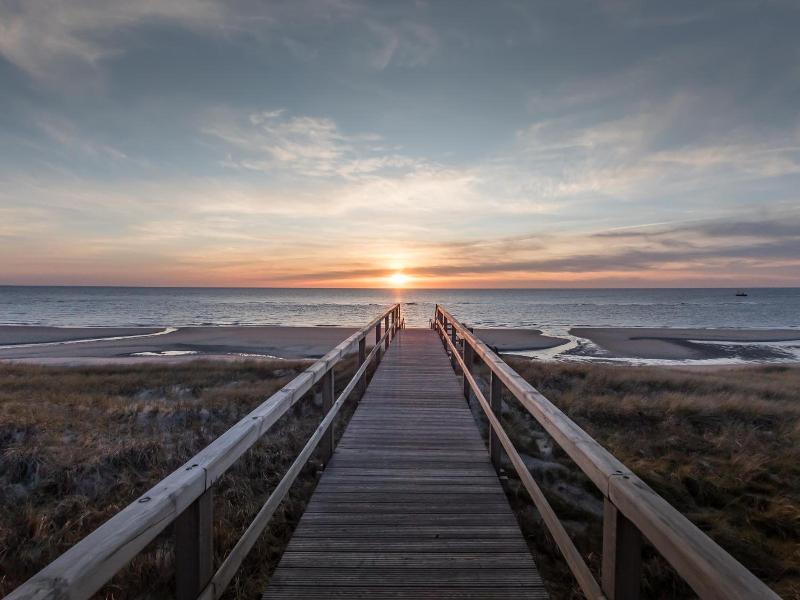 Marin Sylt - Genel