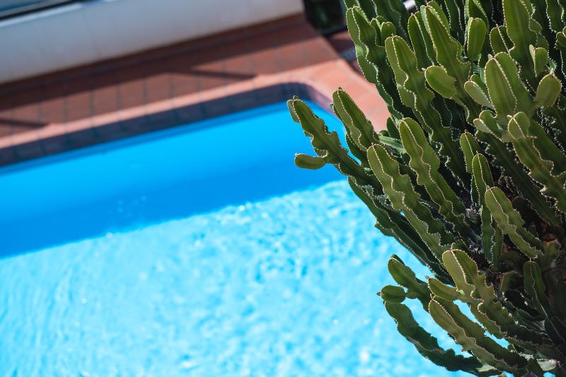 Coccodrillo Hotel and Residence - Havuz