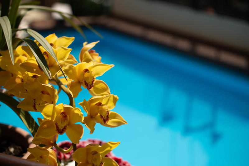 Coccodrillo Hotel and Residence - Havuz