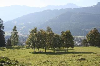 Almenrausch und Edelweiss fotoÄŸrafÄ±