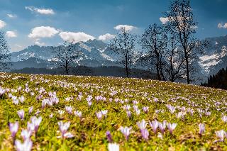 Forsthaus Graseck fotoÄŸrafÄ±