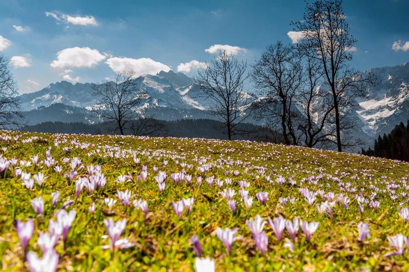 Forsthaus Graseck - Genel