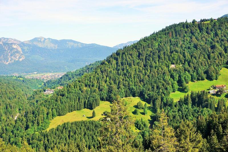 Forsthaus Graseck - Oda