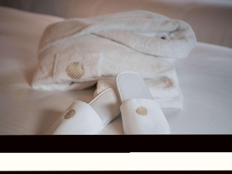 PULLMAN PARIS MONTPARNASSE - Oda