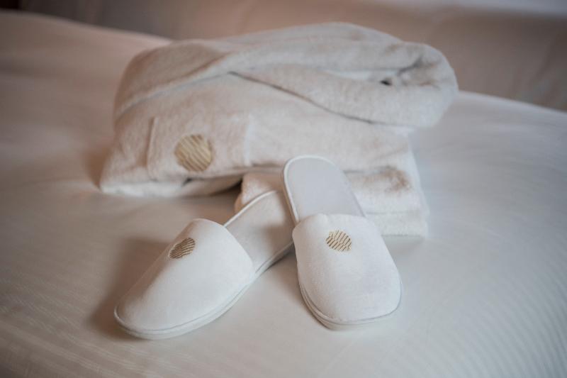 PULLMAN PARIS MONTPARNASSE - Oda