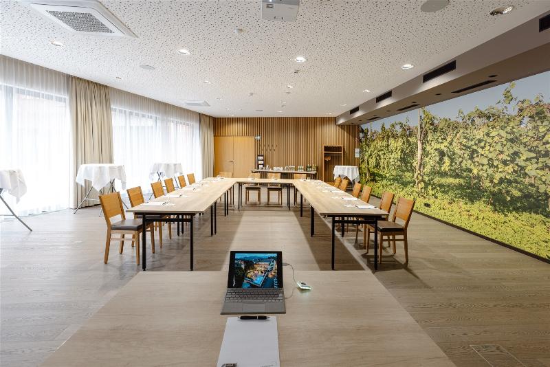 Hotel Stainzerhof - Toplantı