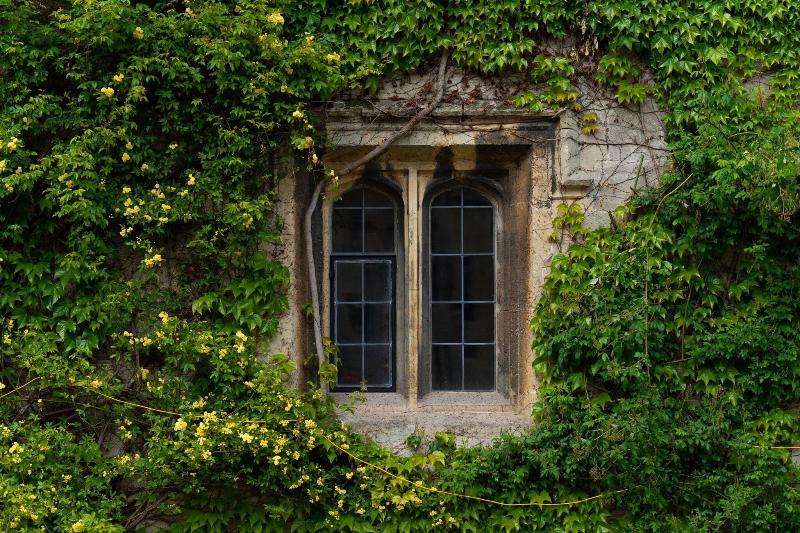 Thornbury Castle - Genel