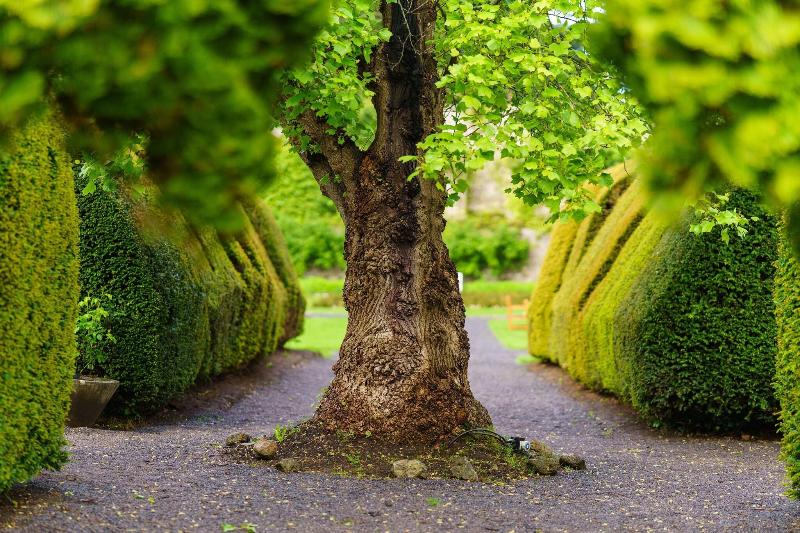 Thornbury Castle - Teras