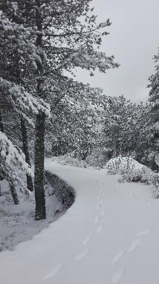 PESTANA POUSADA SERRA DA ESTRELA fotoÄŸrafÄ±