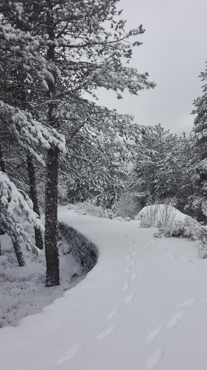 PESTANA POUSADA SERRA DA ESTRELA - Genel