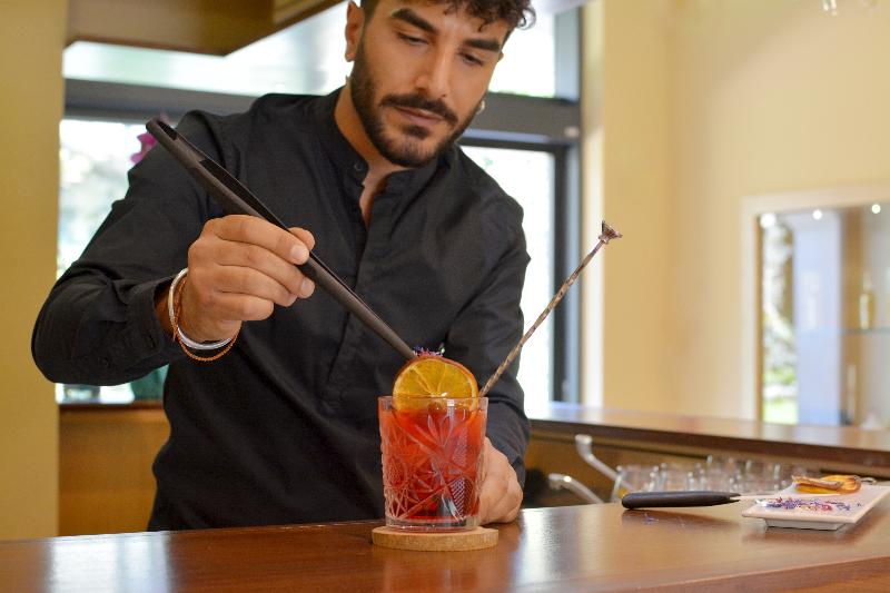 Vittoria Resort Pool & SPA - Bar