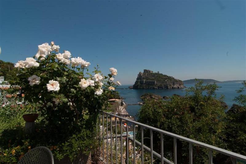 Hotel La Ninfea - Genel