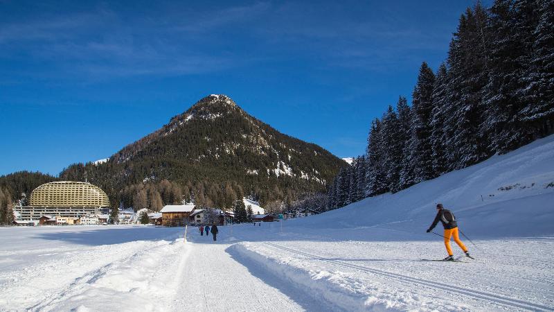 AlpenGold Hotel - Genel