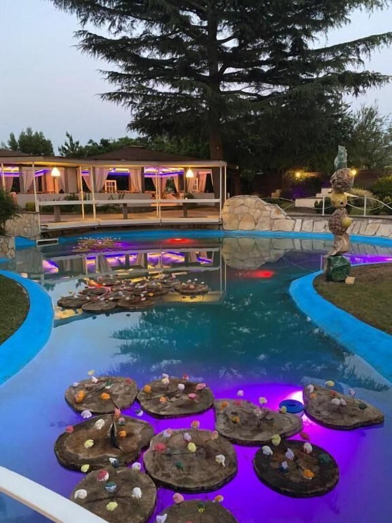 Domus Park Hotel Rome - Teras