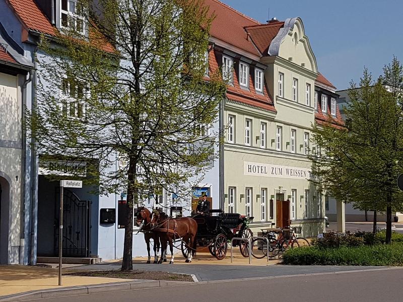 Designhotel Zum Weissen Ross - Genel