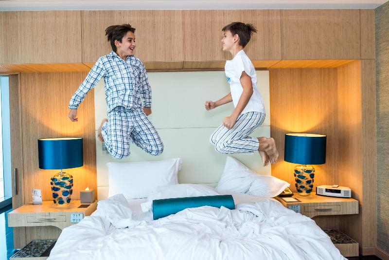 Sofitel Dubai Downtown - Genel